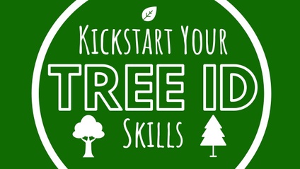Product image for Kickstart Your Tree ID Skills