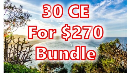 Product image for 30 CE Hours for $270