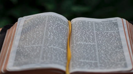 Product image for Harmony of the Gospels for Teens