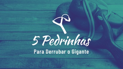 Product image for 5 Estratégias para Derrubar o Seu Gigante!