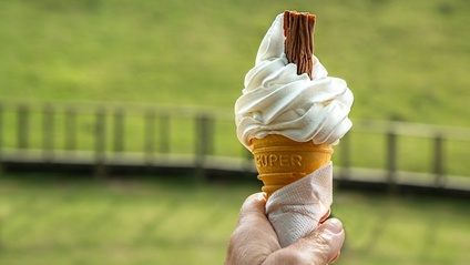 Product image for Aprire una AgriGelateria