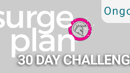 Product image for Surge Plan 30 Day Challenge