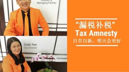 Product image for (中文) 漏税补税 Special Tax Voluntary Disclosure Program by Adrian Yeo Chartered Accountants