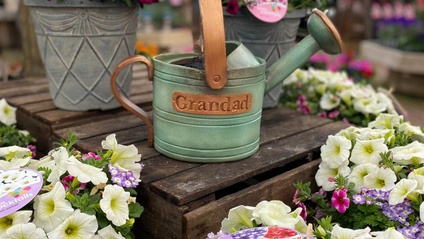 Product image for Pick up and pour watering can