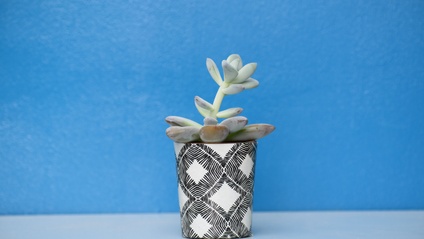 Product image for Big-Hearted Boundaries