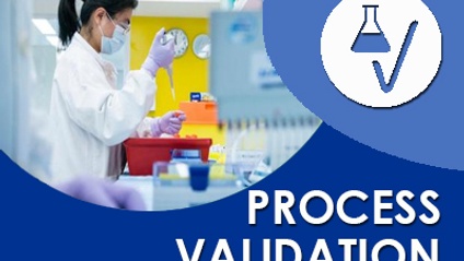 Product image for Understanding the Process Validation Life Cycle