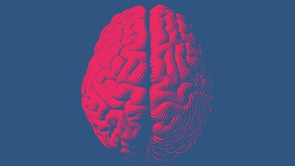 Product image for Train your brain for better sex