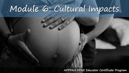 Product image for Module 6: Cultural Impacts