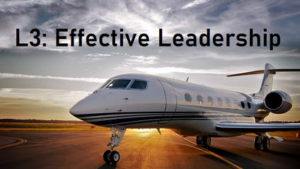 Product image for L3: Effective Leadership