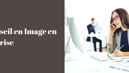 Product image for Le Conseil en Image en Entreprise