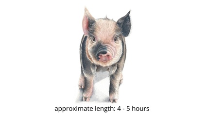 Product image for Pig in Watercolor
