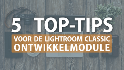 Product image for 5 Top Tips voor Lightroom Classic's Ontwikkelmodule