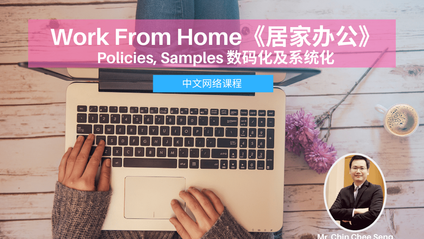 Product image for (中文) Work From Home《居家办公》: Policies, Samples 数码化及系统化 by Chin Chee Seng (CCS & Co)