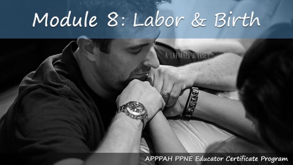 Product image for Module 8: Labor and Birth