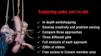 Product image for Exploring yoko zuri to ebi