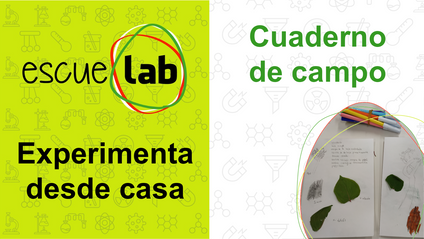 Product image for Cuaderno de campo