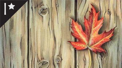 Product image for Rustic Maple Leaf
