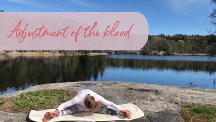 Product image for Adjustment of the blood