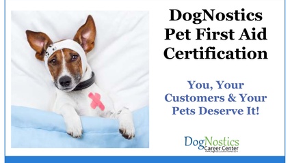 Product image for Pet First Aid Certification