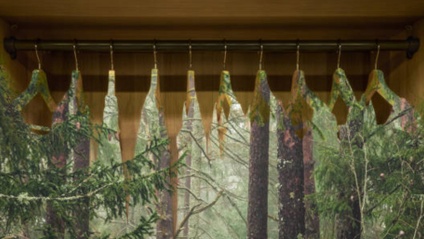 Product image for The Eco-Friendly Closet