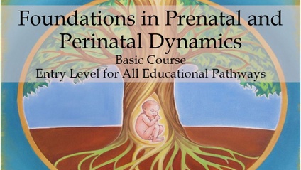 Product image for Foundations in Prenatal and Perinatal Dynamics