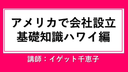 Product image for アメリカで会社設立