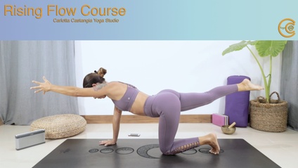 Product image for Rising Flow