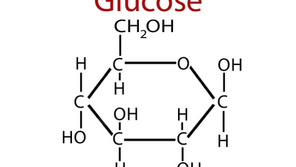 Product image for Metabolism Bundle: Bio Chemistry Review, Acid Base & Practice Questions