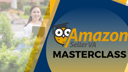 Product image for Amazon Seller VA Masterclass