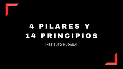Product image for 4 Pilares y 14 Principios de Lean Manufacturing