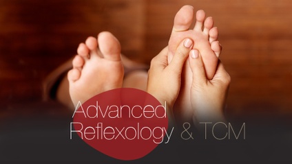 Product image for Learn Advanced Reflexology and TCM for Health Practitioners