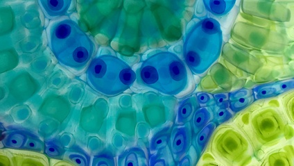 Product image for Watercolor Glass