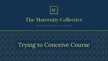 Product image for The Maternity Collective Preparing for Pregnancy Course