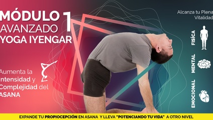 Product image for Módulo Avanzado Yoga Iyengar - I