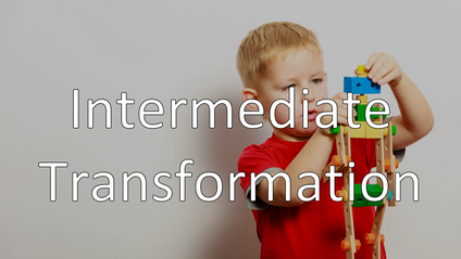 Product image for 201 - Intermediate Transformation