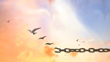 Product image for Transforming Trans-generational Trauma with Essential Oils