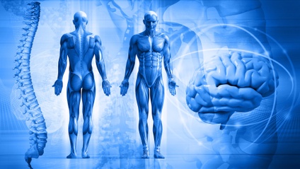 Product image for The Source Of Healing: Anatomy - Point Location - Bioelectricity
