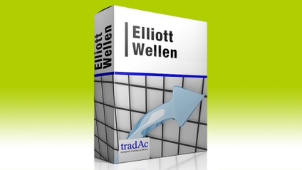 Product image for MINI-KURS: Elliott Wellen
