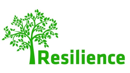 Product image for Break-up Resilience