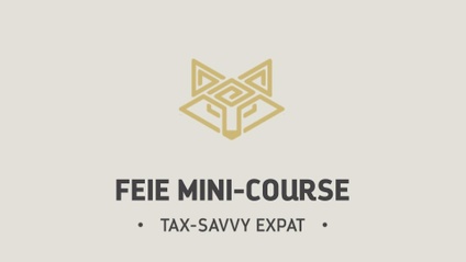 Product image for FEIE Mini-Course