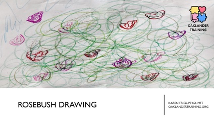 Product image for Rosebush Drawing: Theory & Experience