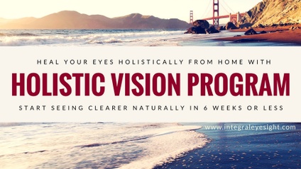 Product image for Holistic Vision Program
