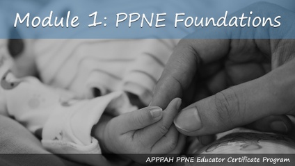Product image for Module 1: Foundations of Pre and Perinatal Psychology