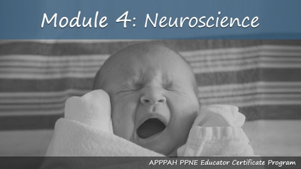 Product image for Module 4: Neuroscience