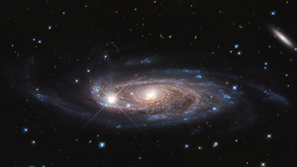Product image for AP Physics 1 - Free Preview Lectures