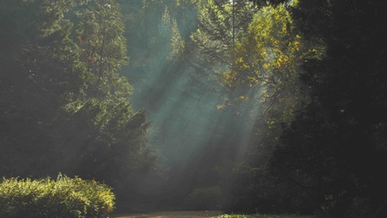 Product image for Aging, Individuation, and Wholeness