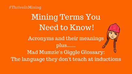Product image for Mining Terms You Need to Know!