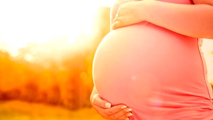 Product image for Pregnant With a Plan!