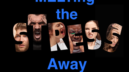 Product image for MELTing the Stress Away