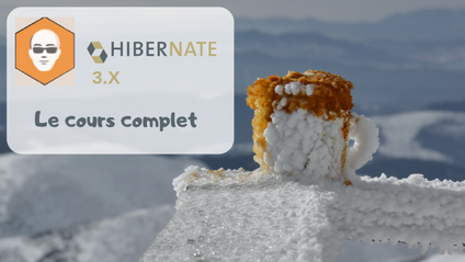 Product image for Hibernate 3 - Le cours complet
